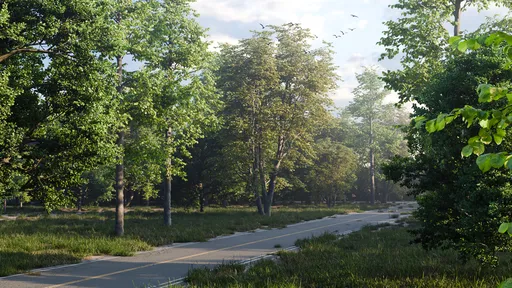 Summer Forest Road Environment Animation