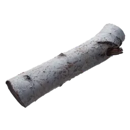 Realistic 3D birch log model with textured bark for Blender, ideal for 3D forest scenes.