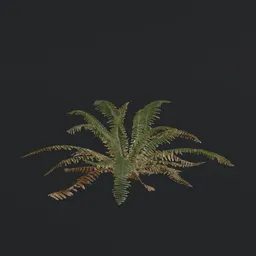 Tropical Fern a1