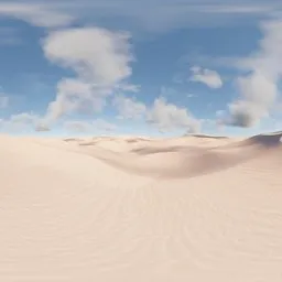 Soft Desert Daylight