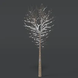 Tree With Snow