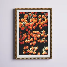 Bright Orange Marigold Flower Print