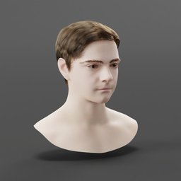 3D male head model with clean topology, subdivision ready, and low poly count, ideal for rigging and character design in Blender 3D.