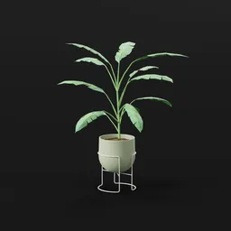 Heliconia Lobster Plant Small Potted