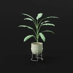 Heliconia Lobster Plant Small Potted