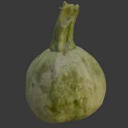 Scanned kadu vegetable