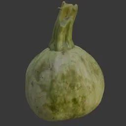 Scanned kadu vegetable