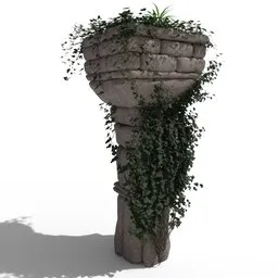 Overgrown Column