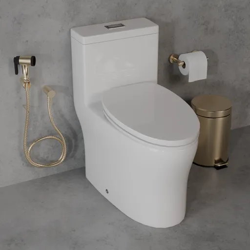 Modern Toilet