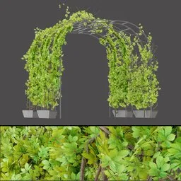 Green Foliage Archway