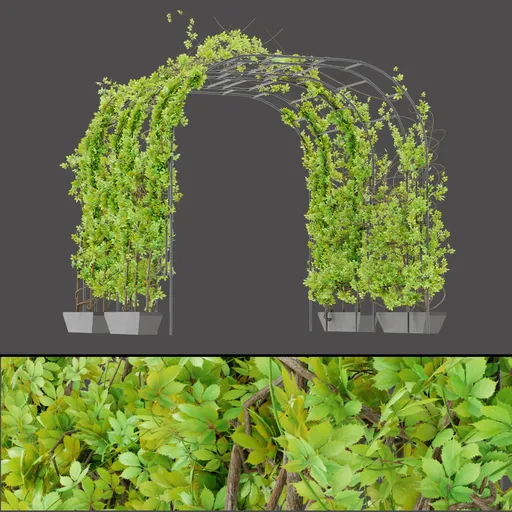 Green Foliage Archway