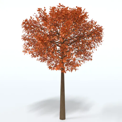Cartoon Tree