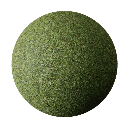 Grass