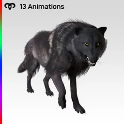 Black Wolf Animated
