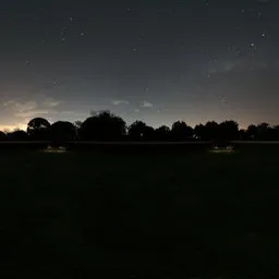 Garden Summer Backdrop Night Fence
