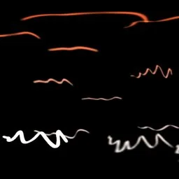 Black White Light Studio