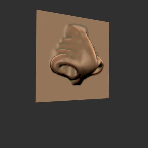 ER Nose Brush 18