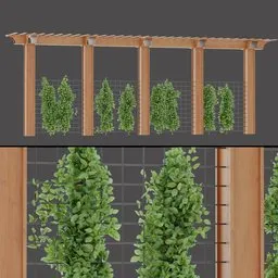 Natural Vine Trellis Line