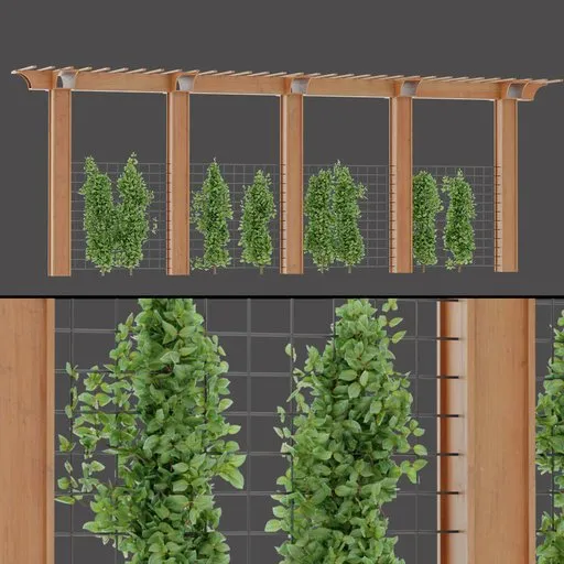 Natural Vine Trellis Line