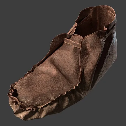 Shoe