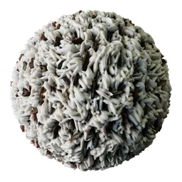 Mixed Long Grain Wild Rice