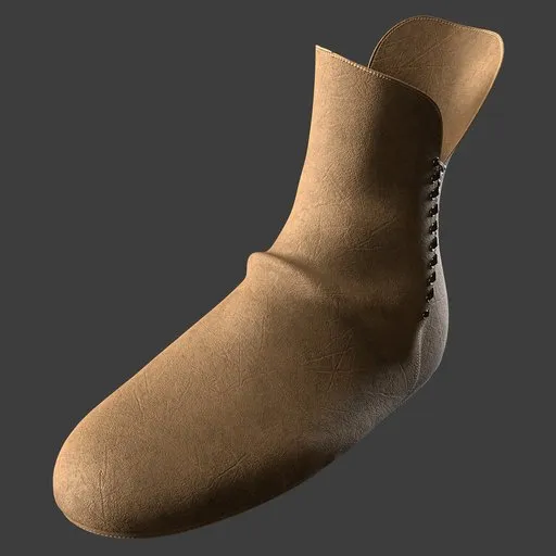 Shoe
