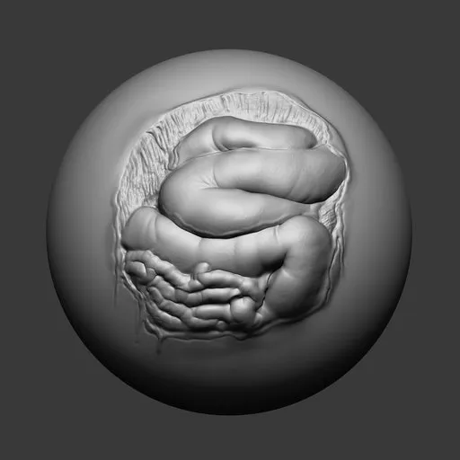 Detailed 3D sculpting brush imprint for creating realistic open wounds and textured scars on character models.