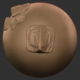 Twin Nasal Cavities