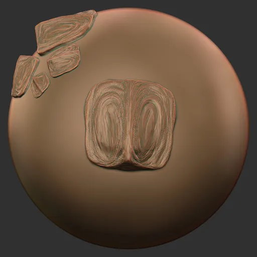 Twin Nasal Cavities