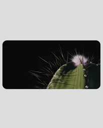 Realistic cactus texture on 3XL mousepad, Blender 3D model with sharp details and vibrant colors.
