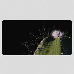 3XL Cactus Design Mousepad