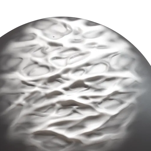 Rhodotus Palmatus mushroom cap