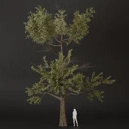 SJ-Meadow Wind Pine Tree