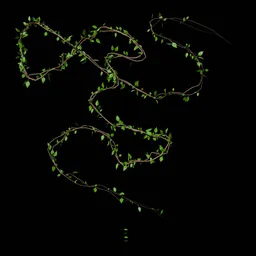 Climbing Vine - Leaf 14