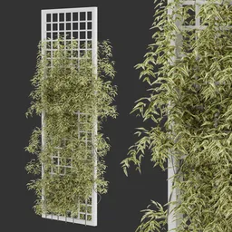 Simple Grid Climber Plant