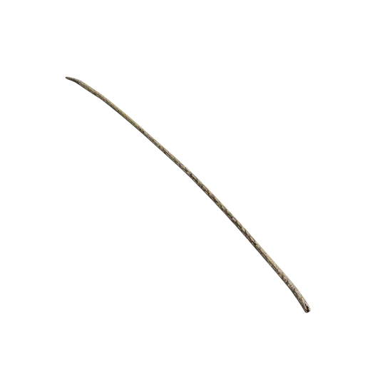 Debris and twigs