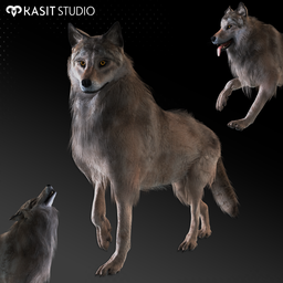 Wolf (animated , rigged)