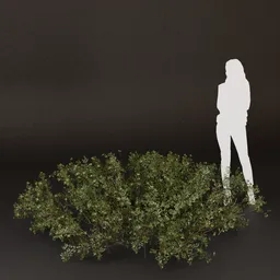 SJ-Wooden Gate Side Bush