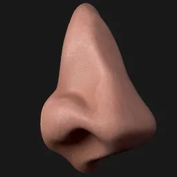 Rounded Point