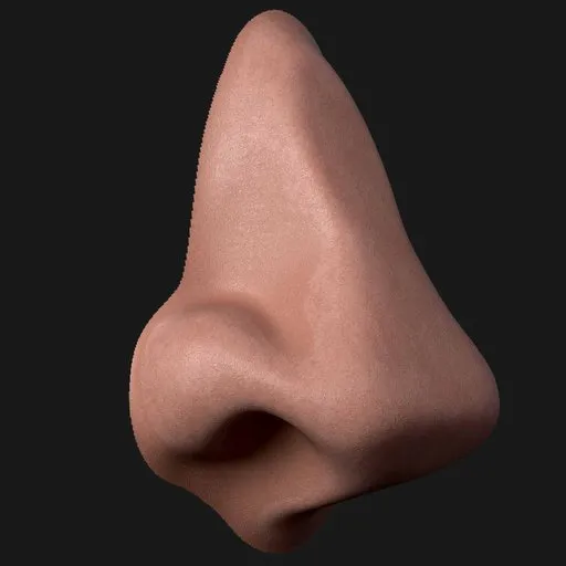 Rounded Point