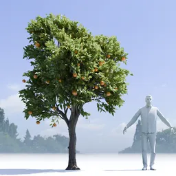 Orange Tree