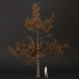 SJ-Shadow Leaf Pine Tree