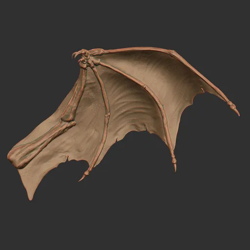 Ancient Dragon Wing
