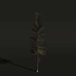 Detailed 3D model of a large Lodgepole Pine tree, compatible with Blender for landscape and environmental design.