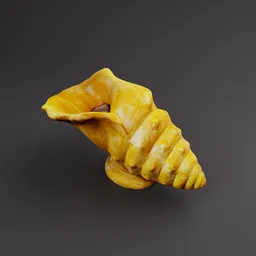 Scan seashell decoration