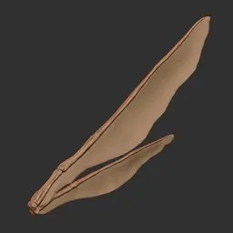 Dragonfly Membrane Wing