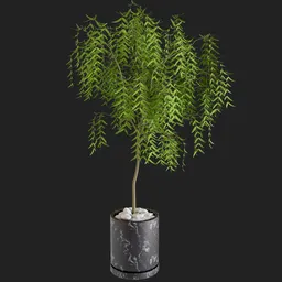 Realistic 3D model of a potted indoor tree with detailed foliage and modern planter, optimized for Blender rendering.