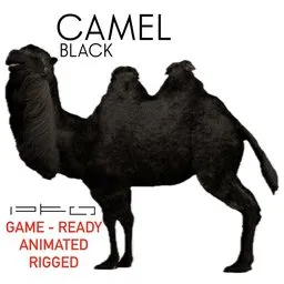 Black Camel