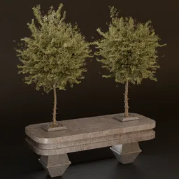 SJ- Balanced Flora Form
