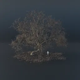 Oak Tree - Gravitropic (Winter)